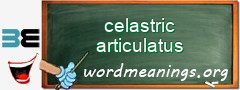 WordMeaning blackboard for celastric articulatus